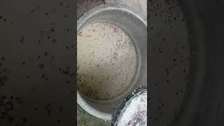 Ashram Mata Tripura Sundari