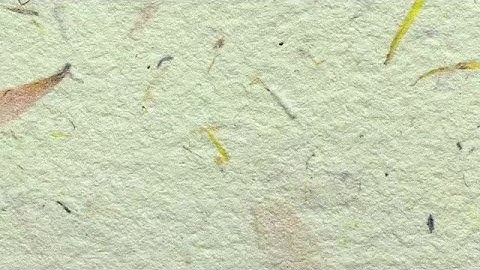 Paper Animation Texture Stock Motion Graphics