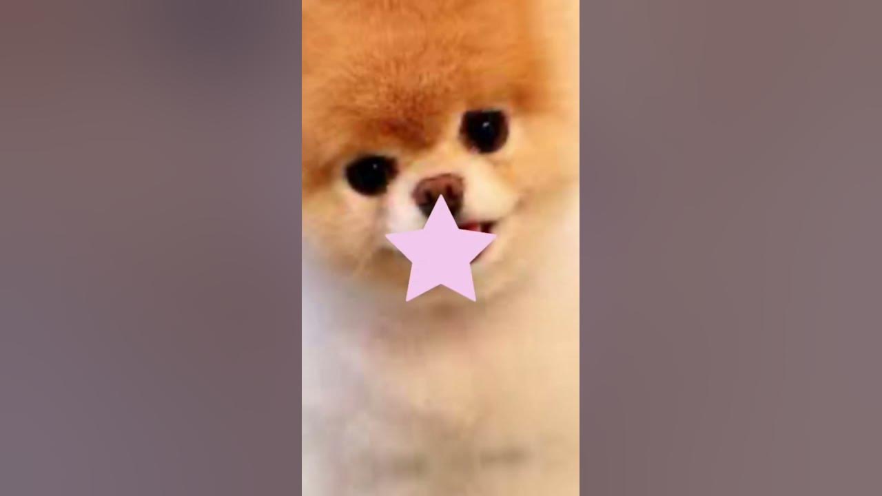 hehehehehehehehehe-youtube