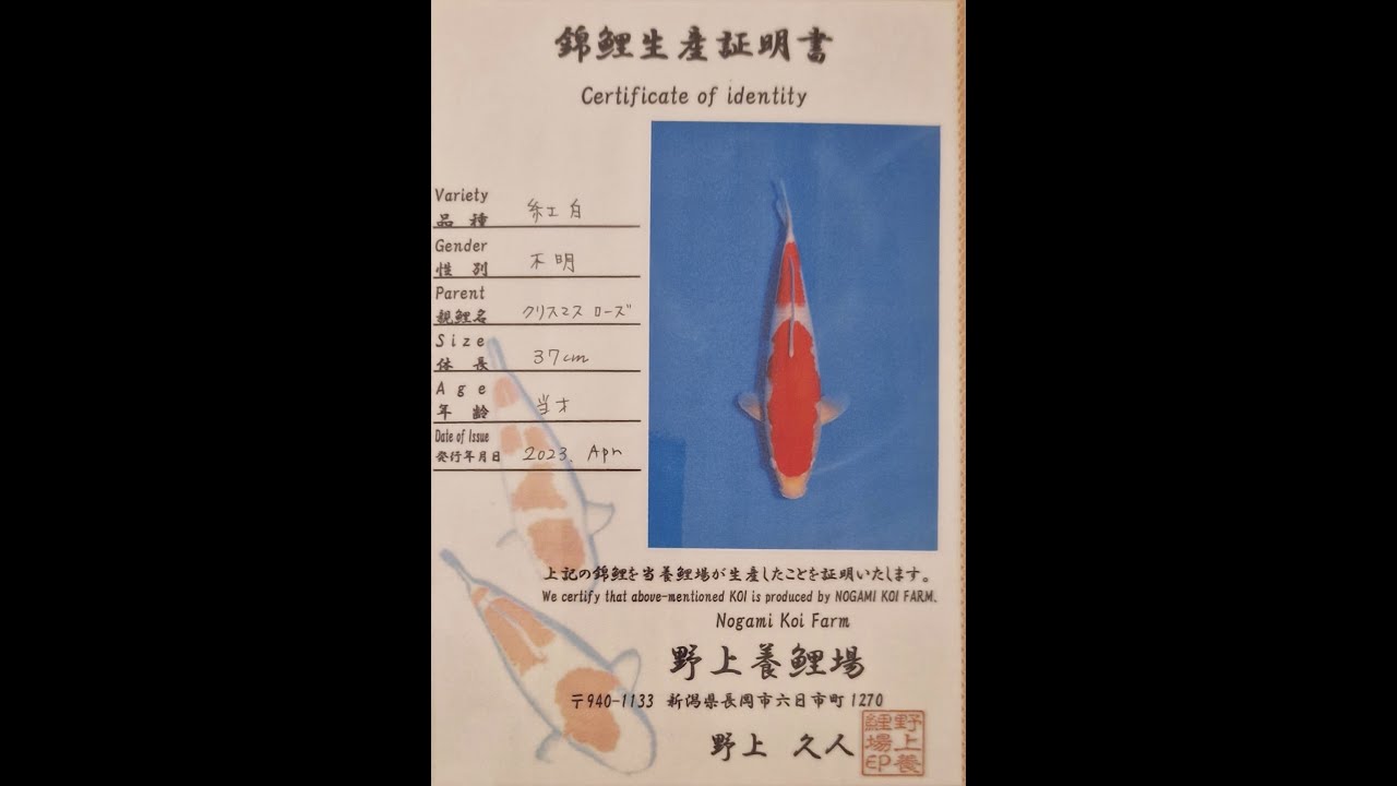 Azukari Challenge Japan 2023