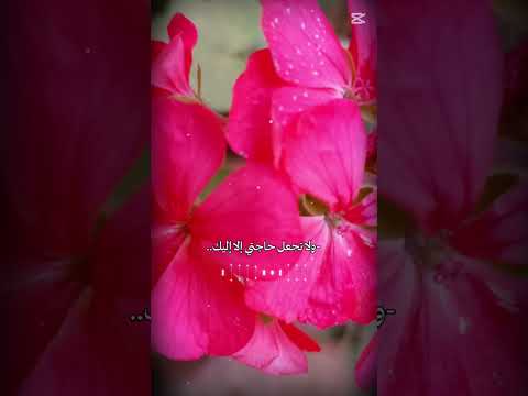 دعاء لي ولكم اسمعوا وقولوا امين