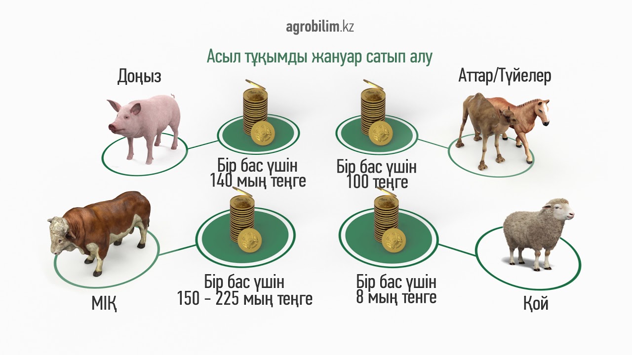 Және сатып алу алу және. Мал чарба Эвропа сатып алу.