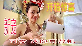 我的新宠～迷你豆浆机开箱～My new lover mini- soy milk maker 如何使用迷你豆浆机&迷你豆浆机的好处与坏处&大豆浆机VS迷你豆浆机