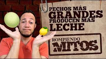 ¿Producen más leche los pechos grandes?