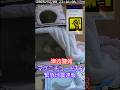 【閲覧注意】#緊急地震速報 青森東方沖 マグニチュード7.6 青森で震度6強 #津波警報 緊急地震速報で驚く猫逃げる #仙台#shorts 2025年12月8日23時15分 #防犯カメラ