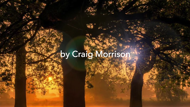 'Three Trees'  by Craig Morrison
