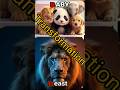 Transformation Of Baby Animals 🐫#facts shorts #facts #viral #latest #new #top #trending #animals