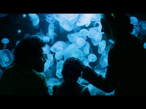 'My Zoe' Trailer (Drama)