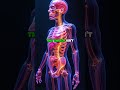 Recalibrating Energy: Understanding the Metabolic Shift from Carbs to Fats