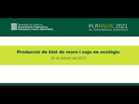 Vídeo: Fusarium De Les Plàntules De Blat De Moro