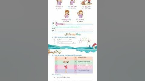 Class 1st, E.V.S., chapter 3, My Sense Organs, part 1.(bachhaon,branch)