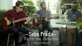 Seba Prada - Rapte-me, camaleoa (Caetano Veloso) (4K) (Live on Pardelion Music)