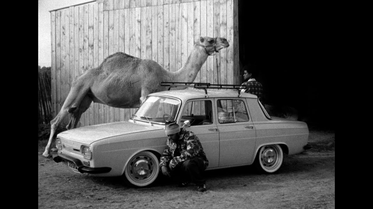 Mairo - paramount adlı videoyu YouTube'da izle Mairo - paramount adlı videoyu YouTube'da izle