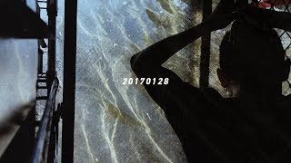 MooC Diary [Vlog] 20170128