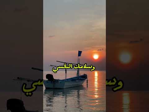 المسافة أحيان ا أقوى رد احم كرامتك وسلامك النفسي