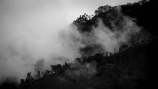 Mist | Mountain Cloud | Black and White | HD Video Footage | Copyright Free Stock Footage screenshot 5