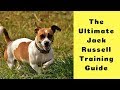 The Ultimate Jack Russell Training Guide (How To Train A Jack Russell Puppy - Step By Step Guide)