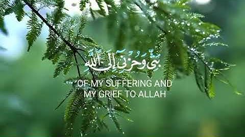 قَالَ إِنَّمَا أَشْكُو بَثِّي وَحُزْنِي إِلَى اللَّهِ سورة يوسف