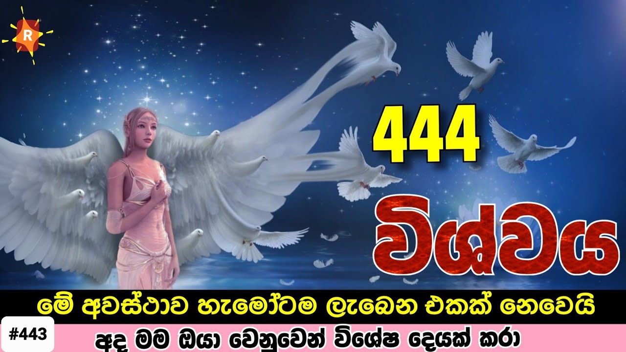 හෙට දවස ඇතුලත මේ දේ ඔයාට ලබෙන්නම ඕනේ. මම මේක කරේ ඔයාලා වෙනුවෙන් | 444 Divine Message From Universe