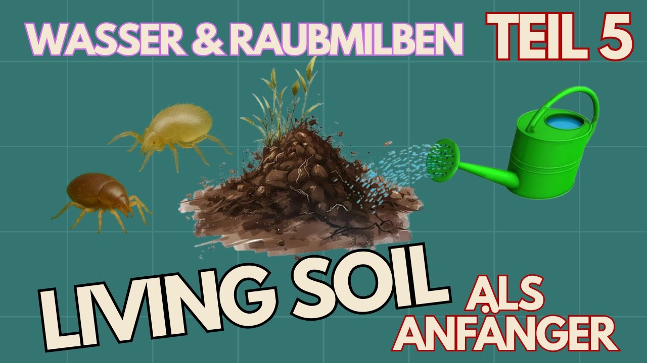 🌊 Living Soil als Anfänger - Wasser, Raubmilben & Thripse | Teil 5