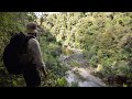 Tramping in Whirinaki Te Pua-a-Tāne: Moerangi Hut Overnight Trip