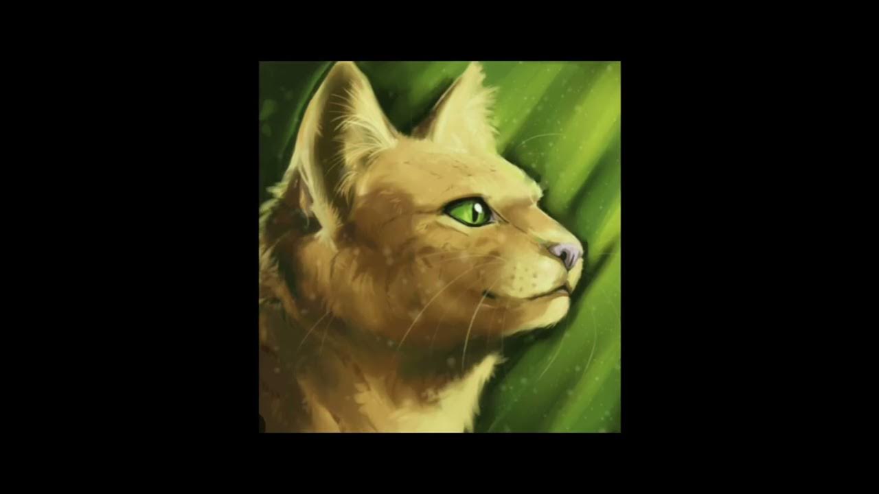 Les plus belles chattes dans LGDC !!! YouTube