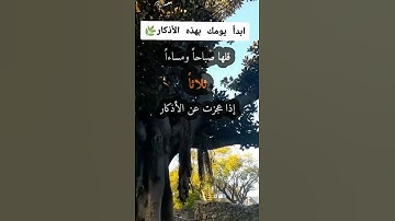 ابدأ يومك بثلاث أذكار سهلة ومليئة بالبركة. #قرآن #اكسبلور #reels #لايك #اذكار_الصباح