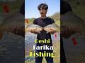 देसी तरीका मछली 🎣 पकड़ने का #minivlog #fishing #fishinglife #villagelife #desitarika #bigfish
