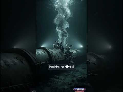 World news-14 October 2026 #breakingnews #আজকেরখবর #todaynews #worldnews #banglanews #shorts #news