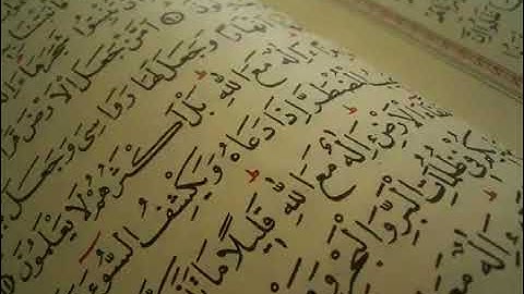 سورة التكاثر   عبد الله المطرود