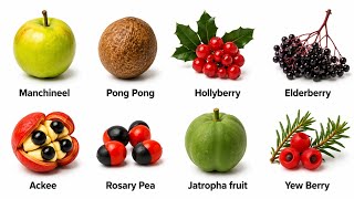 Every DEADLY Fruit Explained