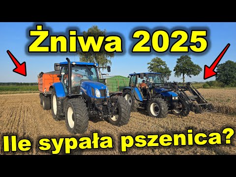 Harvest 2025 - Wheat Summary - Snake Problem - Yields and Varieties