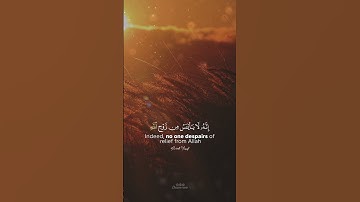 ولا تيأسوا من روح الله إنه لا ييأس من روح الله إلا القوم الكافرون | القارئ محمد الغزالي