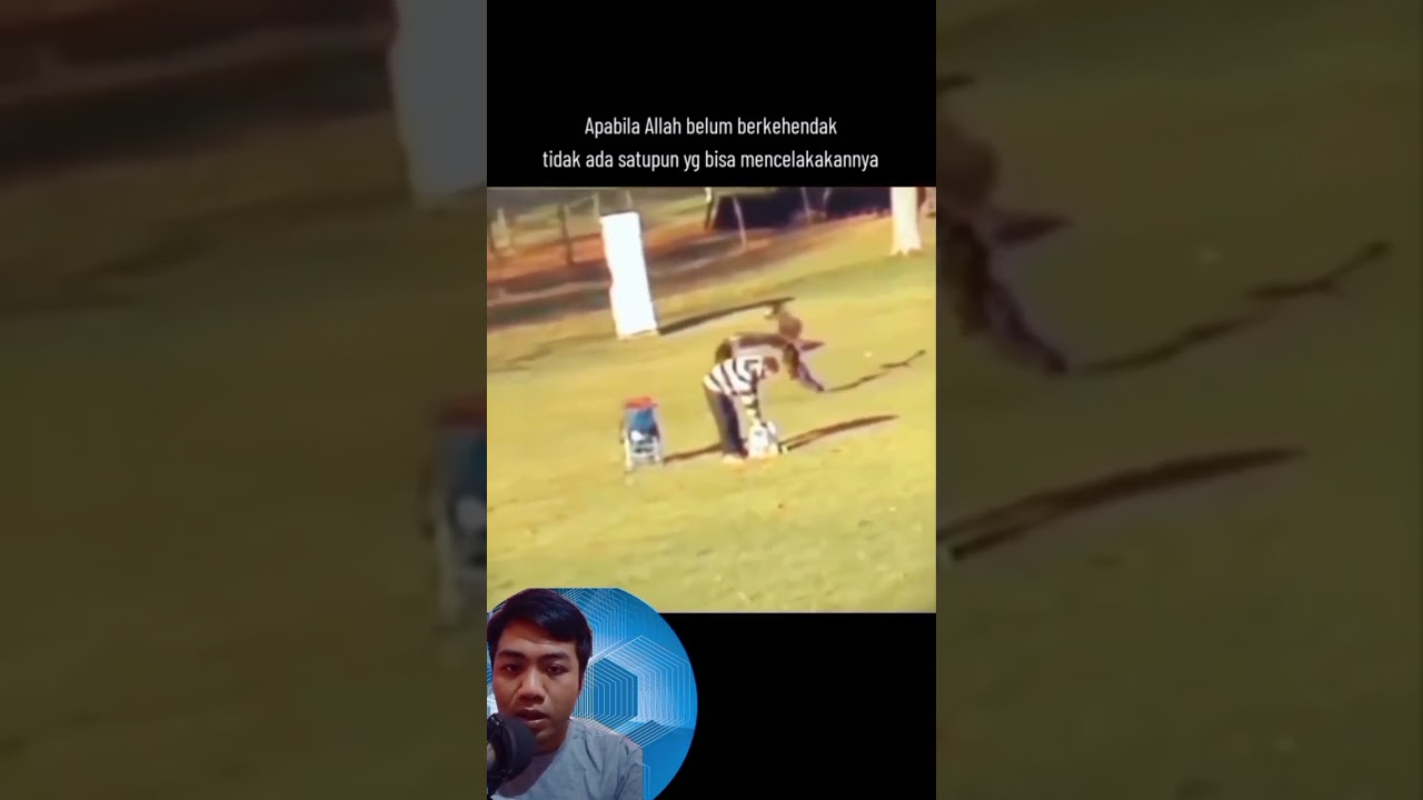 manusia di mangsa burung elang 