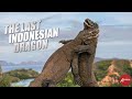 Naga Terakhir dari Indonesia - Komodo