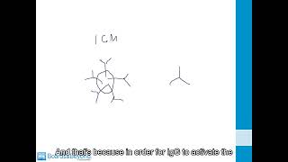 12.1.4 The Complement System