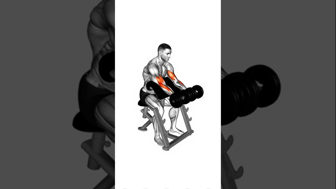 Best biceps workout for beginners in gym 