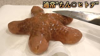 見た目が