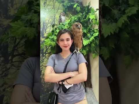 tiktok Rika gusriani, saya suka burung yang besar 😁 #shorts #shortstiktok #trending