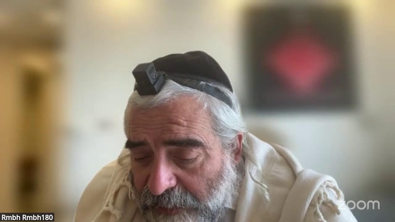 Daf HaYomi massehet houlin page 9