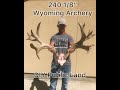 240” Wyoming Mule Deer Hunt