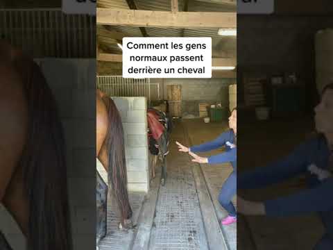 Vidéo: D'où vient l'expression commerce de chevaux ?