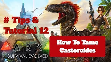 How To Tame Castoroides? Ark Survival Evolved Mobile Edition # Tips & Tutorial 12