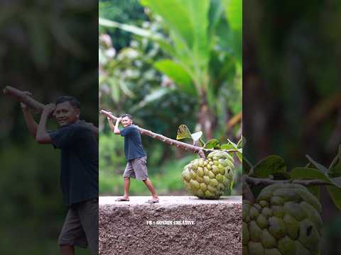 vidio kreatif pikul buah srikaya