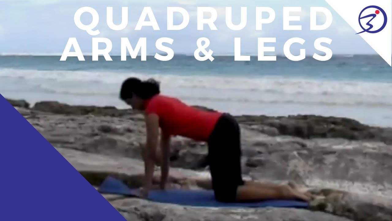 Pilates Inspired Exercises:  Quadruped Arms & Legs