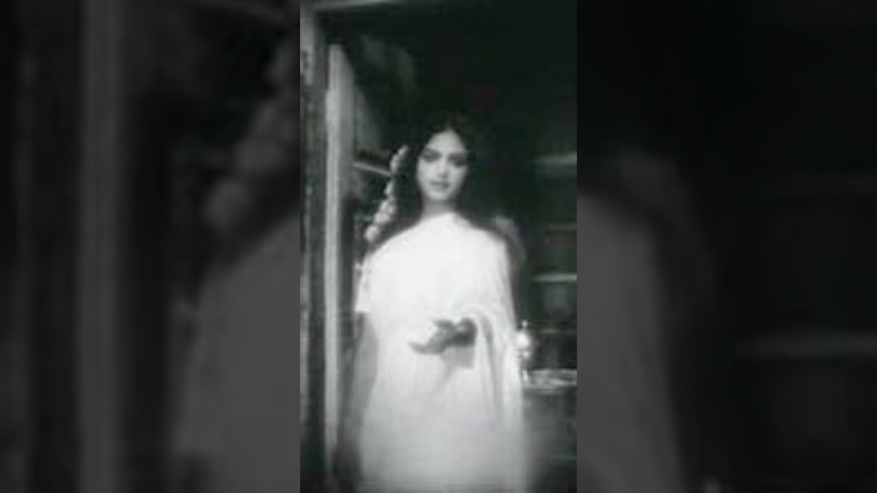 Sanjay Van India's Most Haunted Place 😨💀