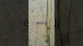 Fault Gouge Gold 101 (Module 4) Fault Gouge To High-Grade Ore Shoot #faultgougeprospecting #faultore screenshot 1