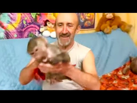 Люся нашла НОВЫЙ ПРЕДМЕТ ОБОЖАНИЯ, она просто не отходит от котенка)