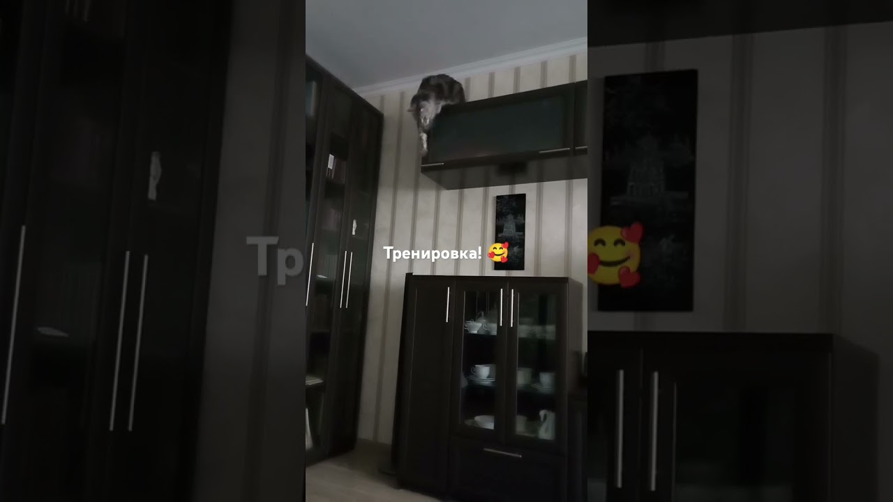 Домашний альпинист! 😂 