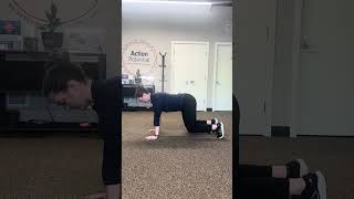 Bear Hold to Plank